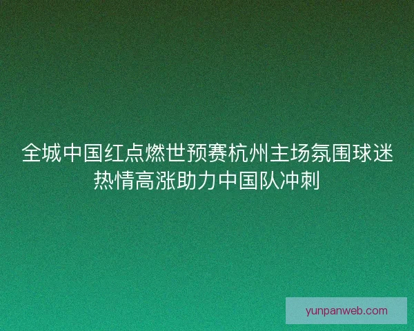 全城中国红点燃世预赛杭州主场氛围球迷热情高涨助力中国队冲刺